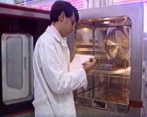 TRABAJADOR INDUSTRIA (19)